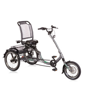 Tricycle TRIZON gris 2019