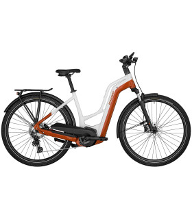Vélo Tout Chemin électrique Bergamont E-Horizon Edition LTD Amsterdam