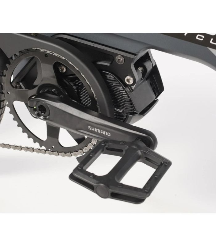 V.A.E. Douze Cycles HÊTA 2S Di2 2023