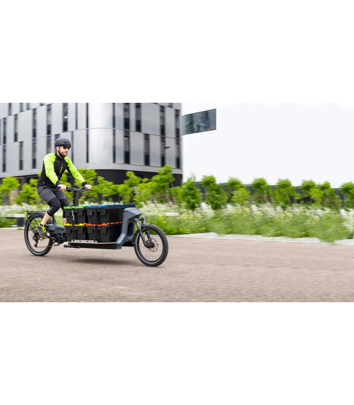 V.A.E. Douze Cycles HÊTA 2S Di2 2023