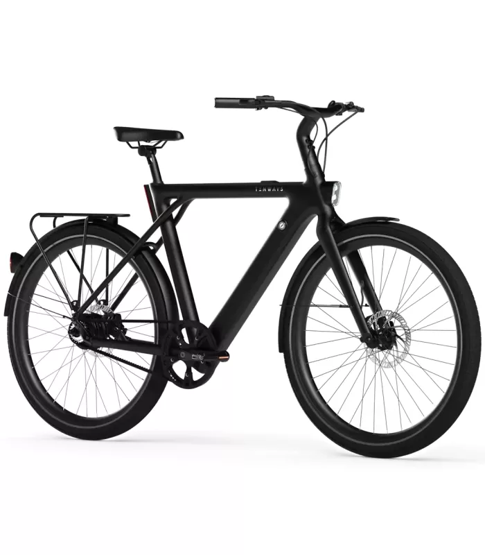 Vélo électrique Tenways CGO009 2024