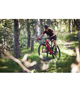 VTT Scott Spark 960 red