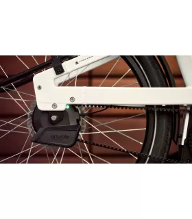 Vélo électrique Bergamont E-Cargoville LJ Elite 2026