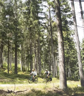 VTCAE Cube Nuride Hybrid SLX 750 Allroad verde'n'black 2024