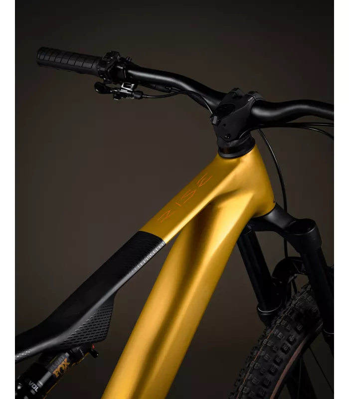 VTTAE Orbea RISE SL H20 2025