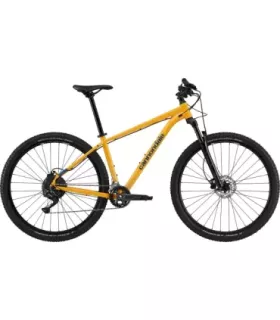 VTT Cannondale Trail 5 2024