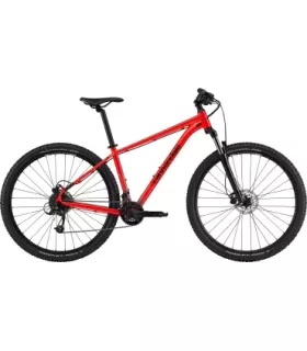 VTT Cannondale Trail 7 2024