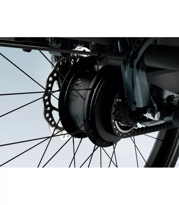 Vélo électrique Tenways Longtail DUO 2026
