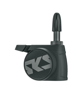 Capteur de pression d'air SKS pour valve 