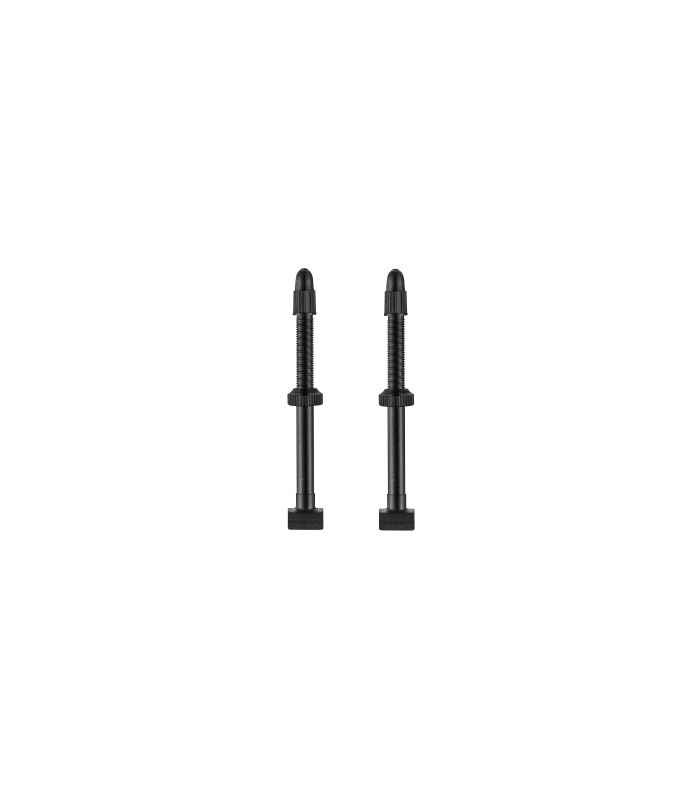 Valves tubeless pour jante 55mm x2 