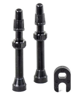 Paire de Valves Tubeless Hutchinson Presta