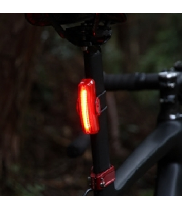 Éclairage Arrière CatEye Rapid Kinetic X2 USB