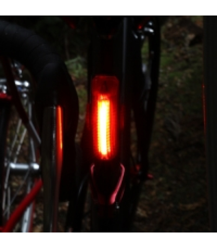 Éclairage Arrière CatEye Rapid Kinetic X2 USB