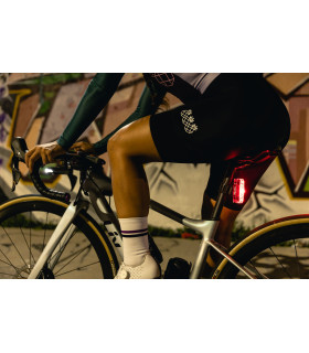 Éclairage arrière CatEye Viz450