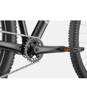 VTT Cannondale Trail 1