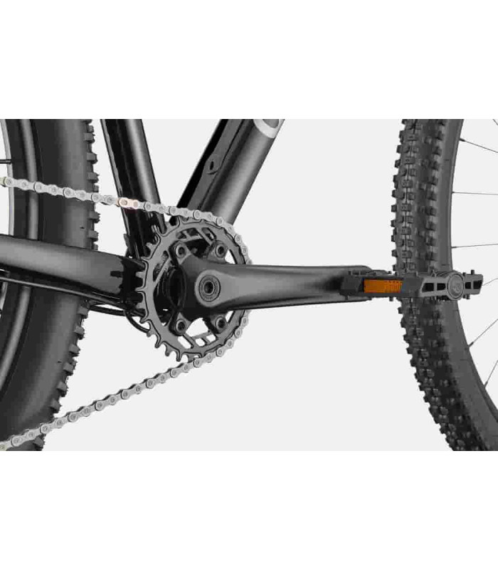 VTT Cannondale Trail 1