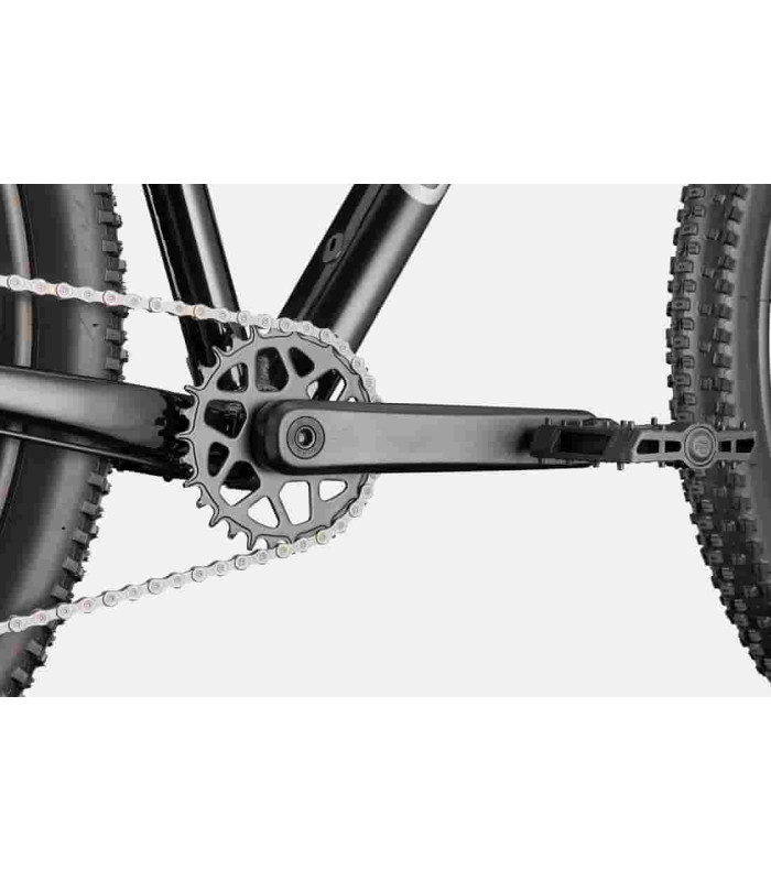 VTT Cannondale Trail 2