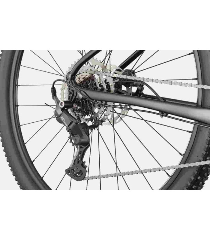 VTT Cannondale Trail 2