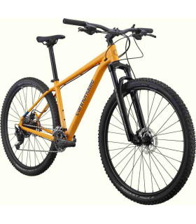 VTT Cannondale Trail 5 2024
