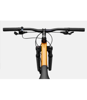 VTT Cannondale Trail 5 2024