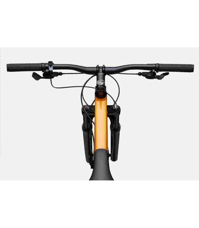 VTT Cannondale Trail 5 2024