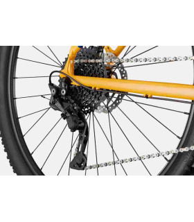 VTT Cannondale Trail 5 2024