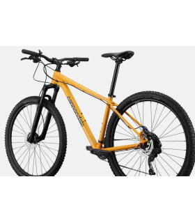 VTT Cannondale Trail 5 2024