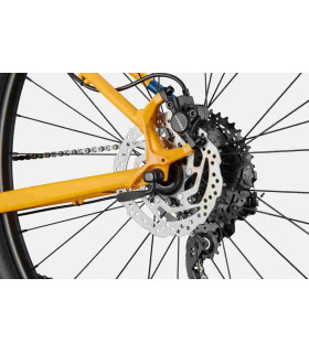 VTT Cannondale Trail 5 2024