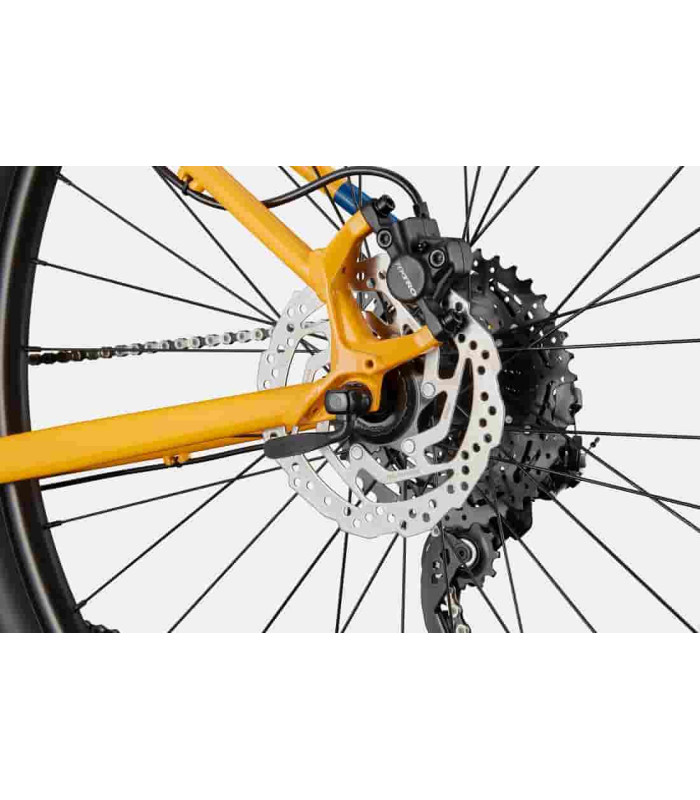 VTT Cannondale Trail 5 2024