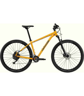 VTT Cannondale Trail 5 2024