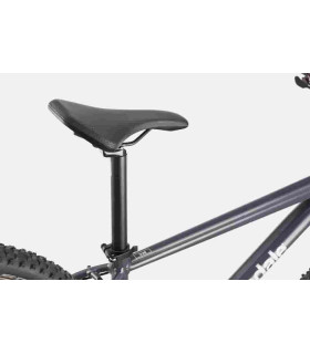 VTT Cannondale Trail 6 2024
