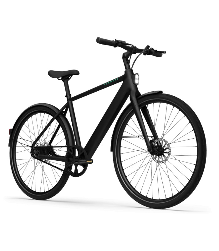 Vélo électrique Tenways CGO600 PRO 2025