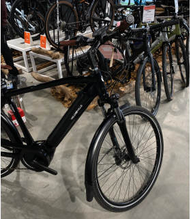 Vélo électrique Vélo de Ville AEB 890 CADRE FERMÉ Reconditionné