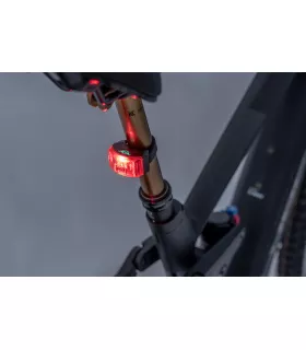 Éclairage arrière ACID Rear PRO EVOLUTION