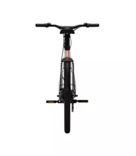 VTC électrique Tenways CGO009 Special Edition