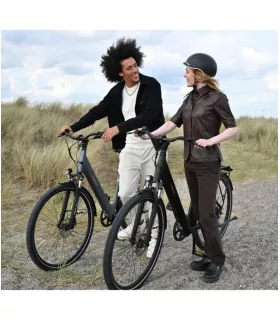 Vélo électrique Tenways CGO800S 2026