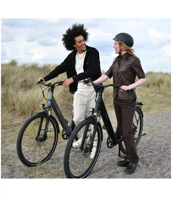 Vélo électrique Tenways CGO800S 2026