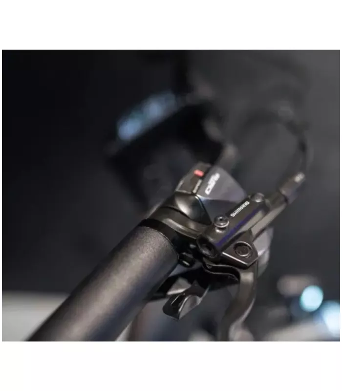 Vélo électrique Tenways CGO800S 2026
