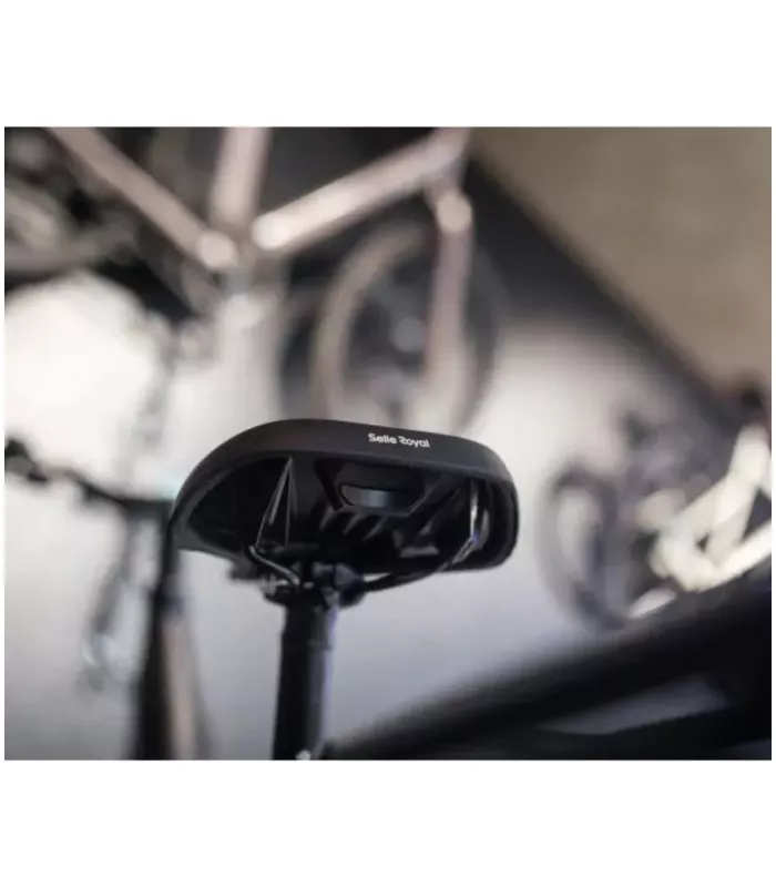 Vélo électrique Tenways CGO800S 2026