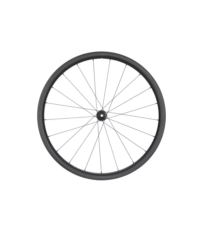 Roue Avant NEWMEN Advanced G.34 622 CL 12x100