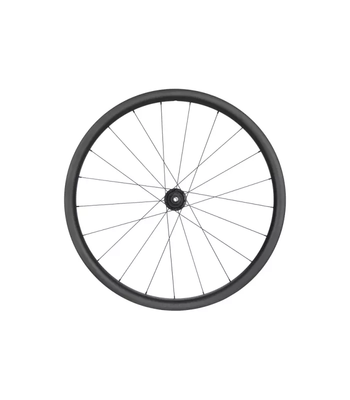 Roue NEWMEN Advanced G.34 622 FADE R SJ CL 12x142 XDR