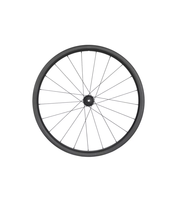 Roue NEWMEN Advanced G.34 622 FADE R SJ CL 12x142 XDR