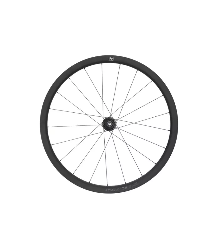 Roue Arrière NEWMEN Evolution SL R.35 12x142 SH
