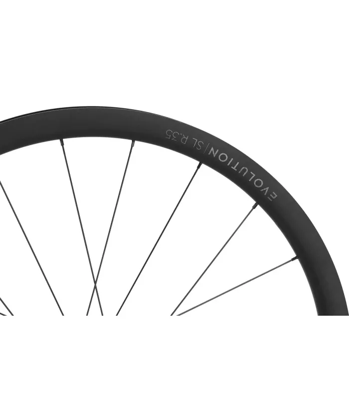 Roue Arrière NEWMEN Evolution SL R.35 12x142 SH