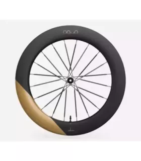 Roue arrière OQUO RA80LTD CS SHIMANO HG