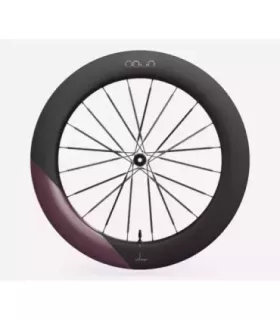 Roue arrière OQUO RA80LTD CS SHIMANO HG