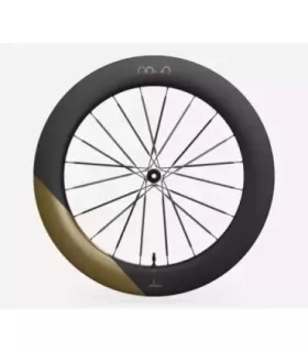 Roue arrière OQUO RA80LTD CS SHIMANO HG