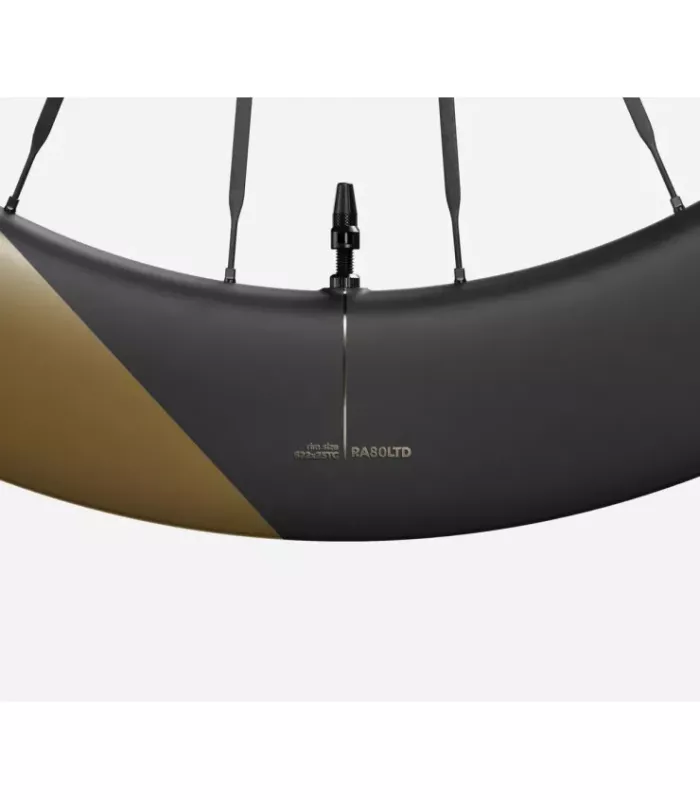 Roue arrière OQUO RA80LTD CS SHIMANO HG