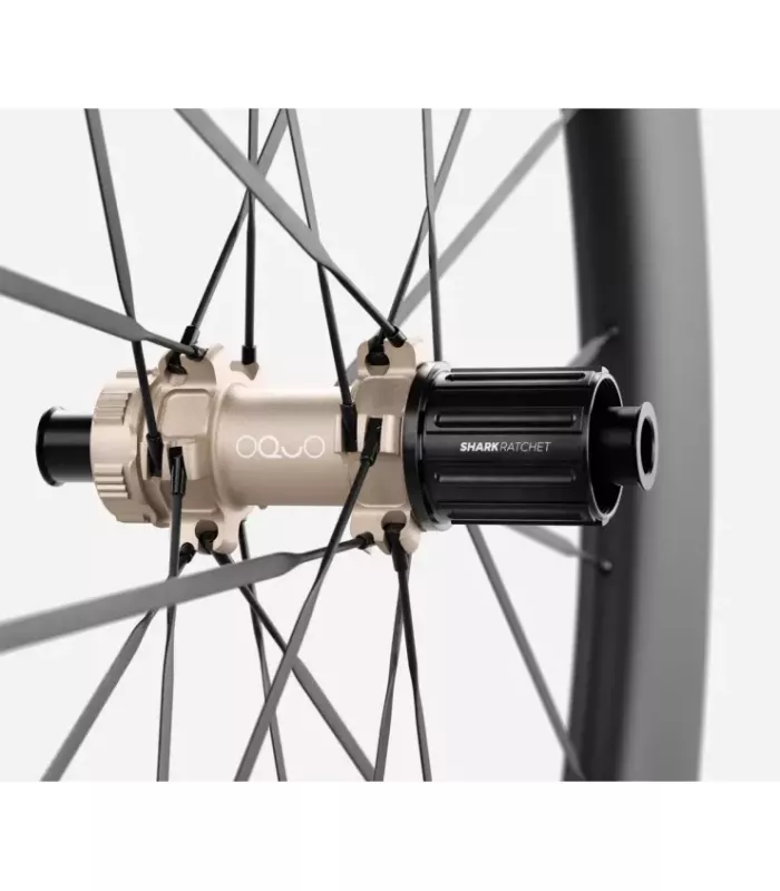 Roue arrière OQUO RA80LTD CS SHIMANO HG