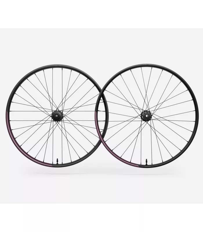 Paire de roues OQUO MC32LTD SHIMANO MS
